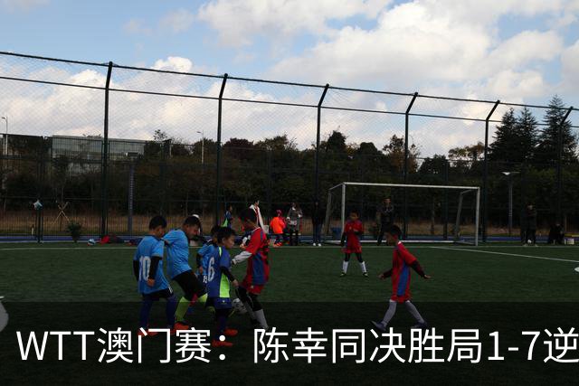 WTT澳门赛：陈幸同决胜局1-7逆转 赛后一笑释然 汉娜高达洒泪赛场！